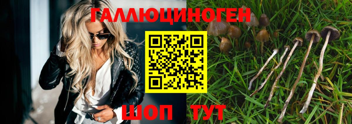 закладка  Псилоцибиновые грибы Magic Shrooms  Вход с VPN  Стерлитамак 